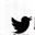 Twitter icon